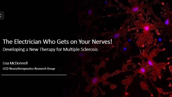 ImageLisaMcDonnellPresentation